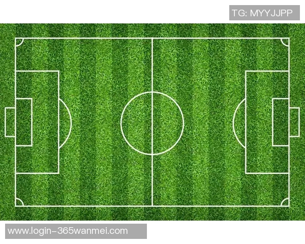 标准足球球场规格详解及其对比赛的影响与重要性分析